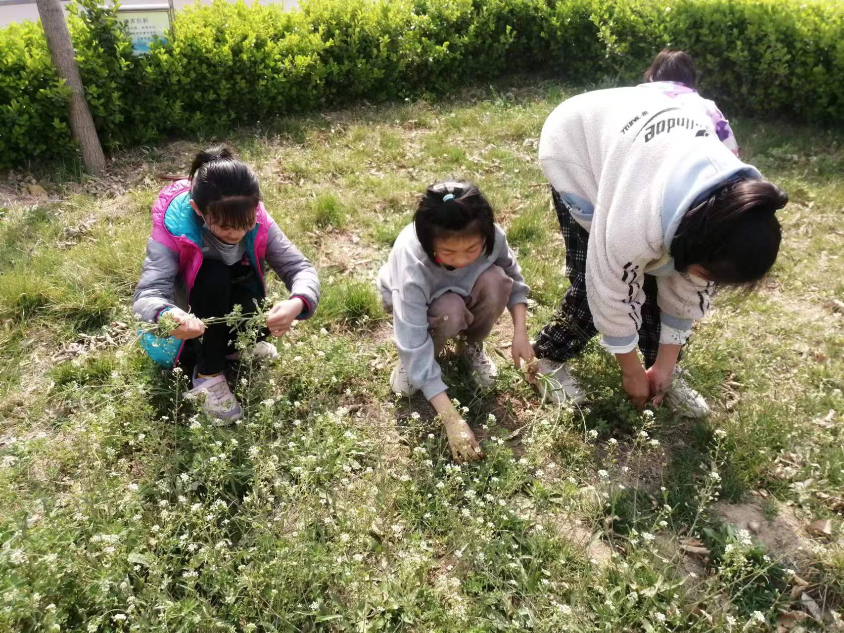 衡水冀州：第五小学大力开展劳动实践教育