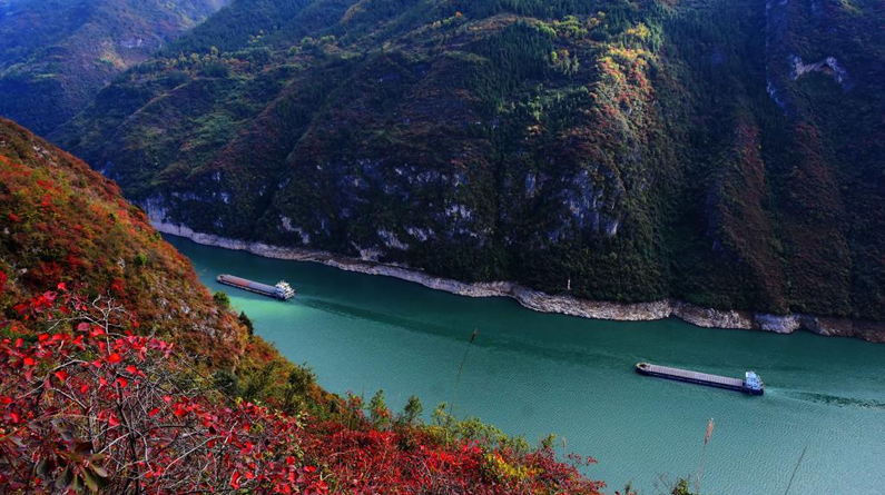 重庆巫山：红叶映峡江