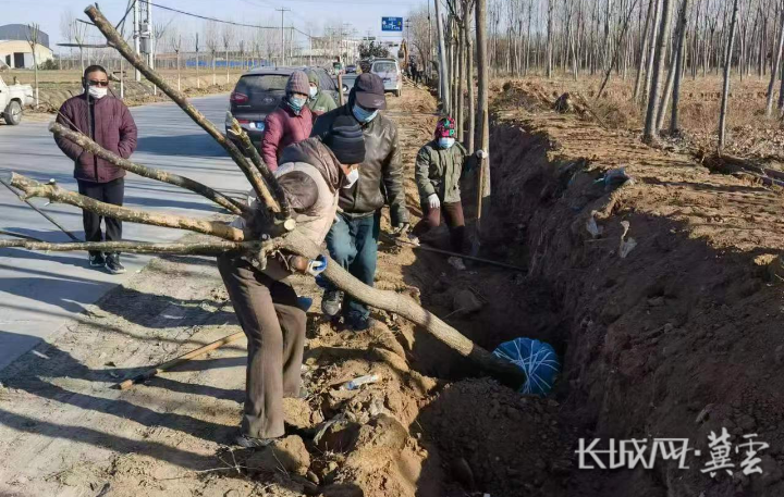 12月18日，内化村村民在电厂路两侧挖沟栽树。