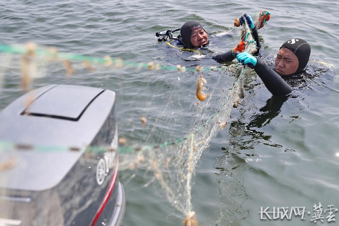 河北秦皇岛：清理海洋垃圾 保护生态环境