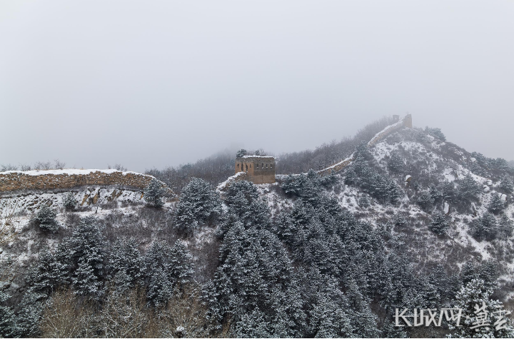 今日雪景美如画图片