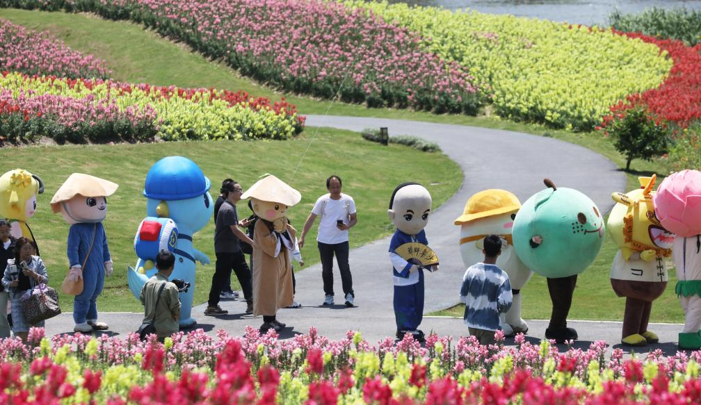 Beautiful Countryside Thousands of acres of Flower Sea Opens "Flower Sea Animation Carnival"