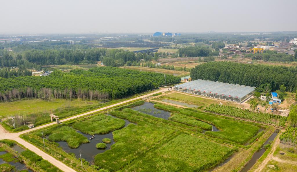  Feicheng, Shandong: the former collapsed land has become a "cornucopia" for wealth creation and income increase