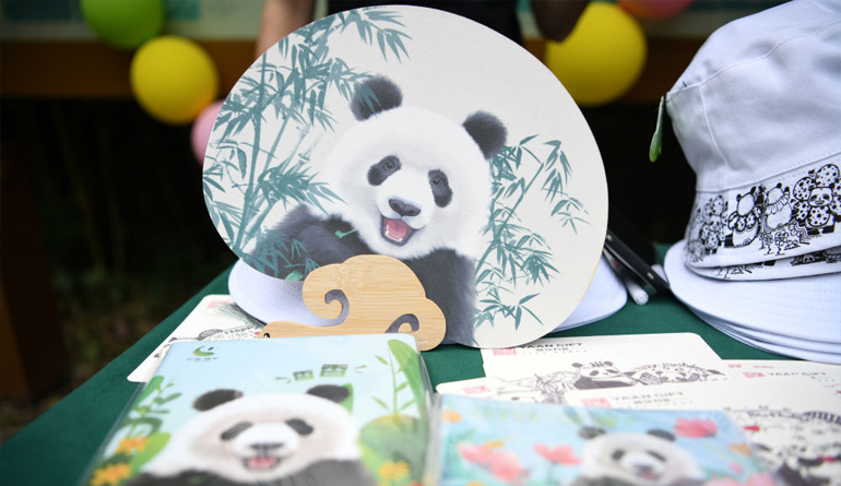 大熊猫“香香”迎来七岁生日