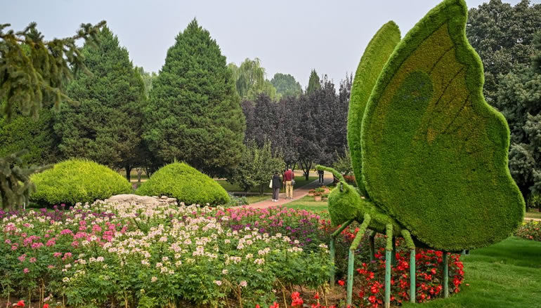 石家庄植物园秋季花展来了