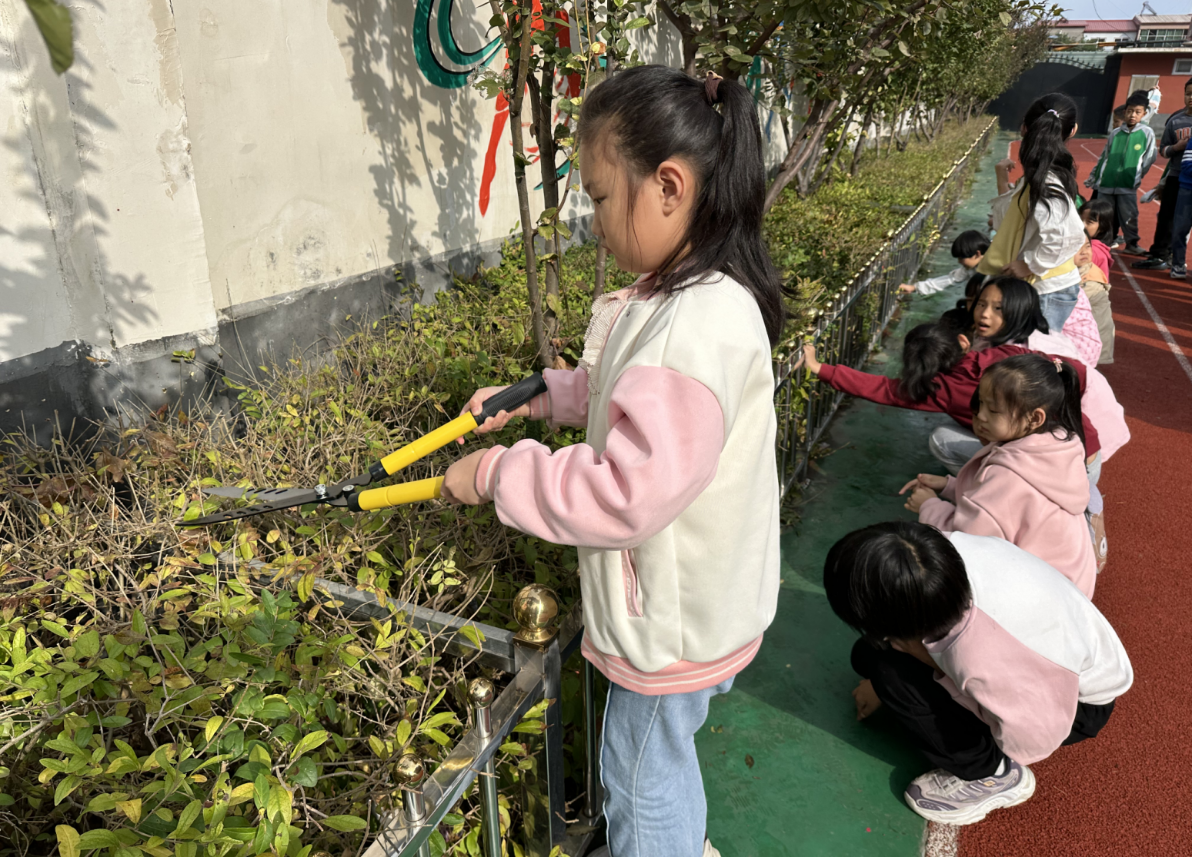 赞皇县北方小学开展劳动实践活动