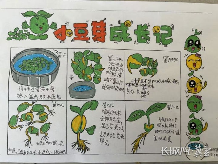 土壤里的小动物手抄报图片